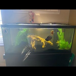 75 gallon fish tank with stand and filter.